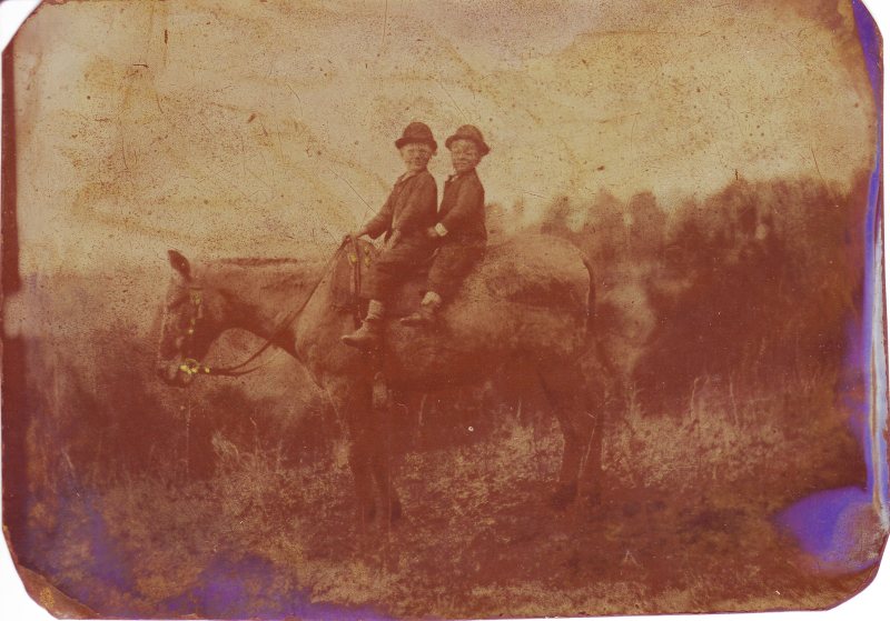 Morris boys on mule - tintype